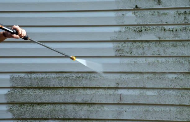 Best Warehouse Cleaning  in Georgetown, IL